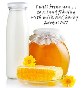 I will bring you ... to a land flowing with milk and honey. Exodus 3:17